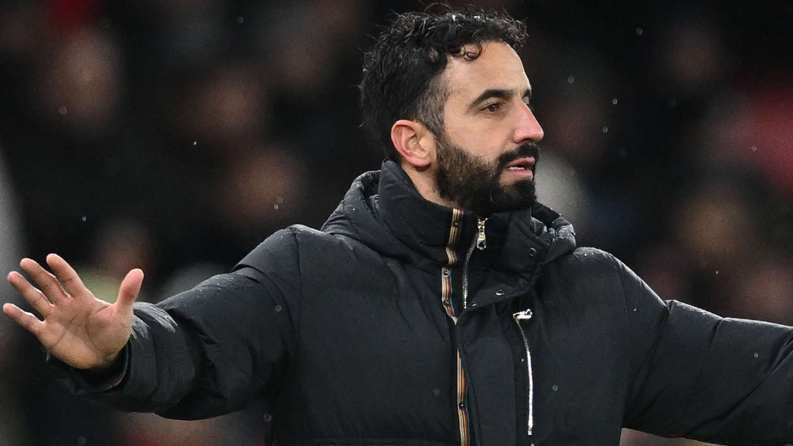 在本赛季中 在本赛季中