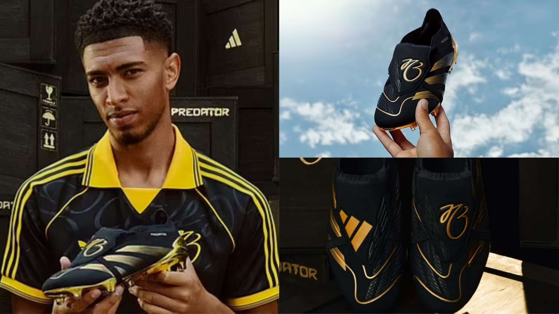 保障体系的 保障体系的