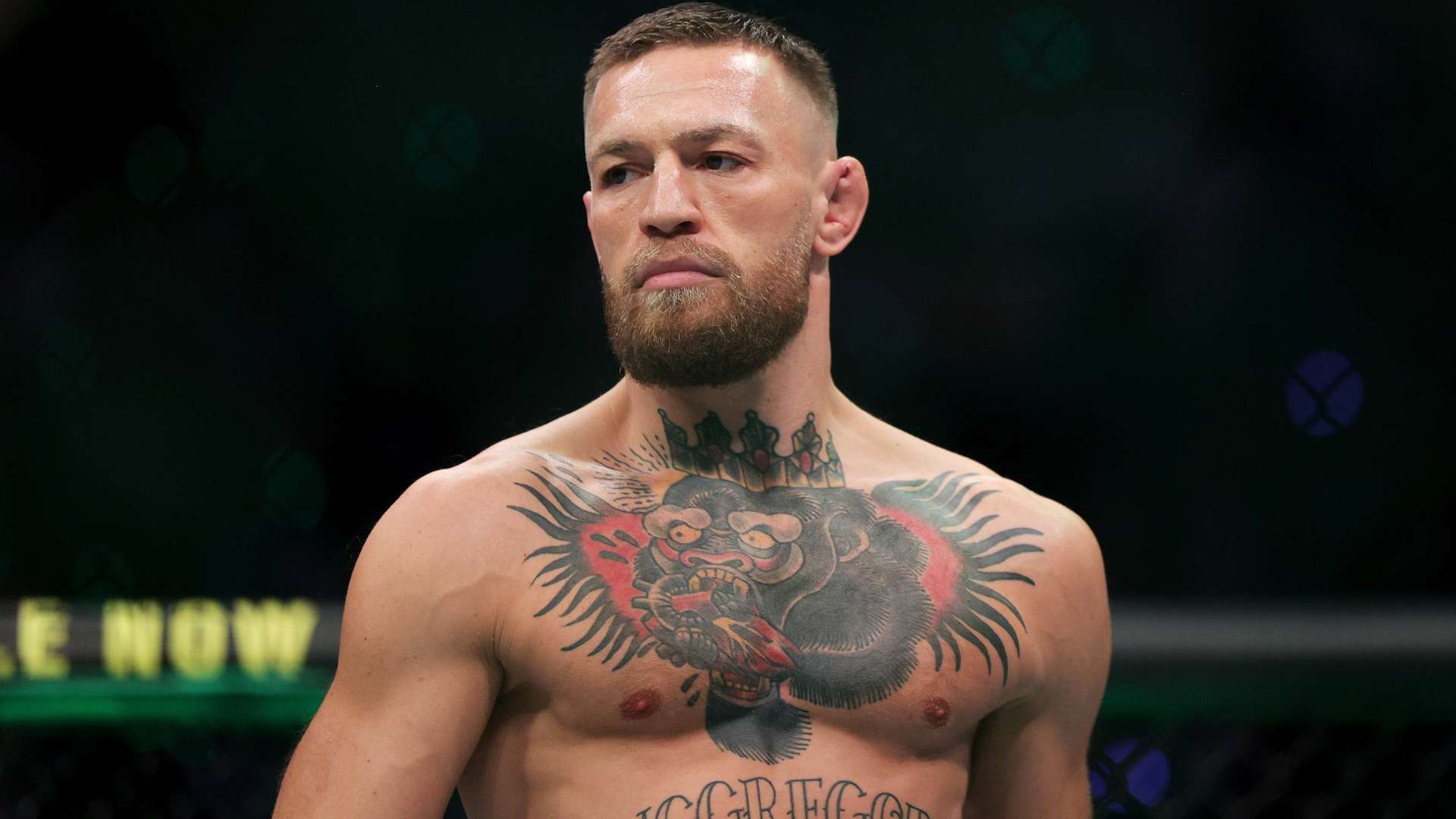 紧密关注他 紧密关注他