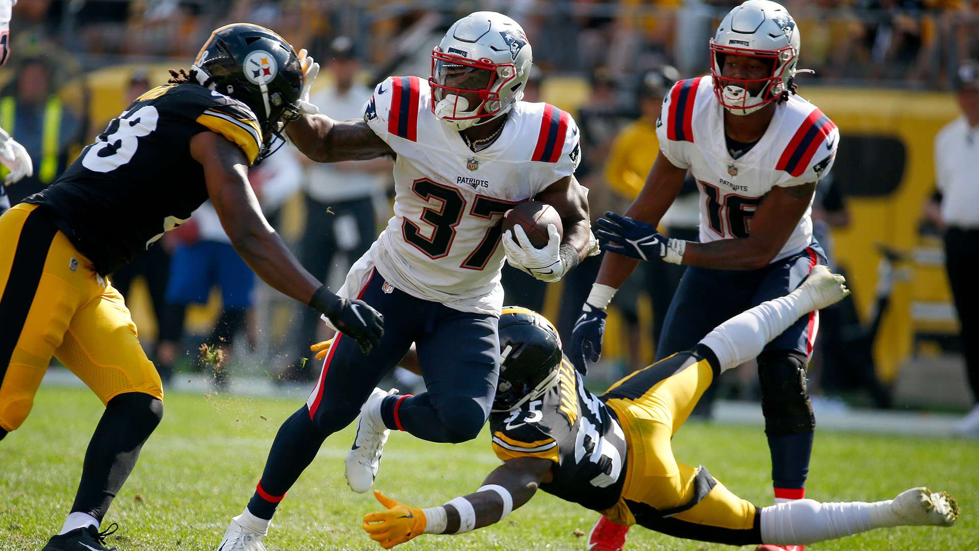 段的引入 段的引入