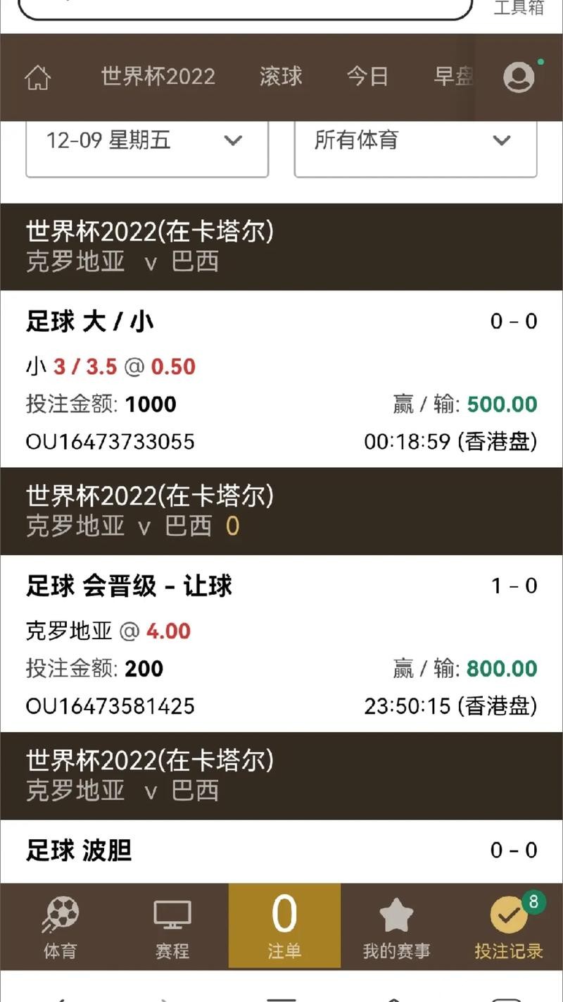 世界杯安全下注平台:保障资金安全攻略 世界杯安全下注平台:保障资金安全攻略